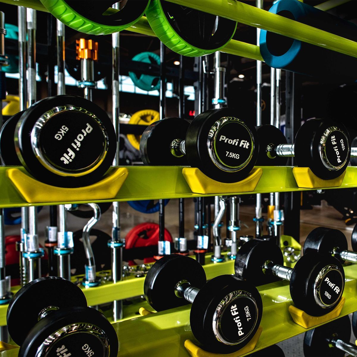 Гантельный ряд профессиональный (шаг 2,5 кг, 10 пар) PROFI-FIT 2,5-25 кг — изображение 3