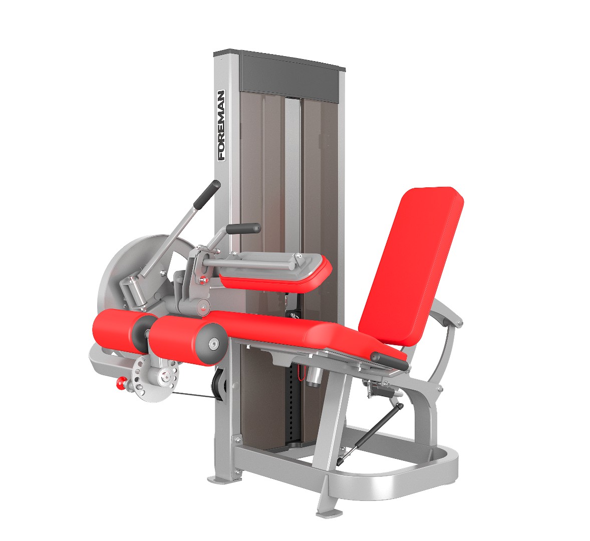 FOREMAN Сгибание/разгибание ног (2 в 1)